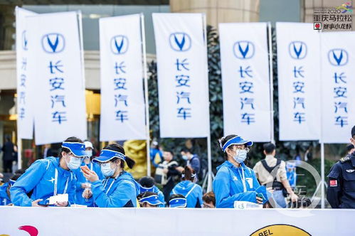 重馬十年 | 年入百萬，重馬造就財富新機遇——重慶創業團隊順富醫藥的崛起之路